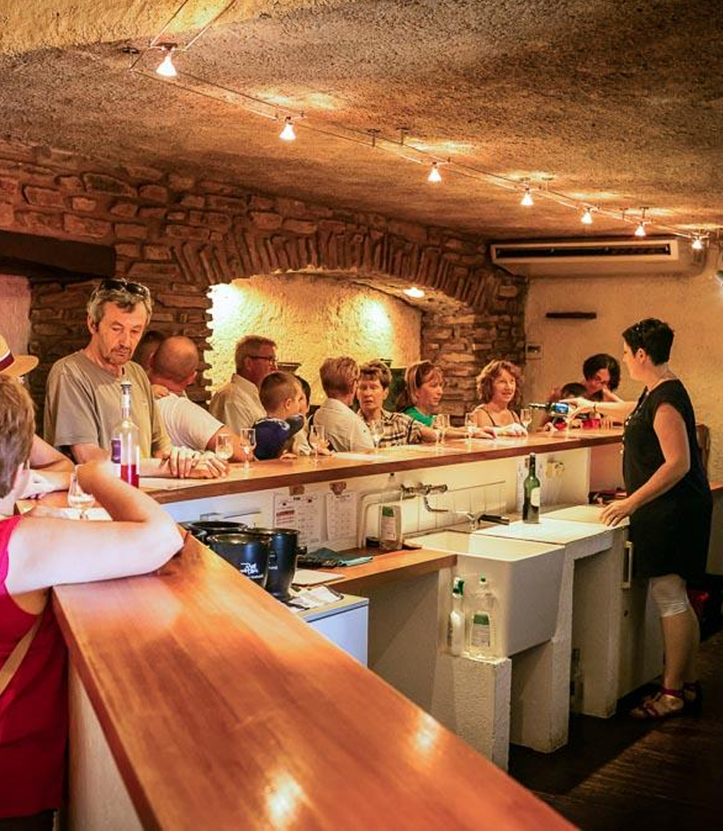 dégustation-vin banyuls sur mer